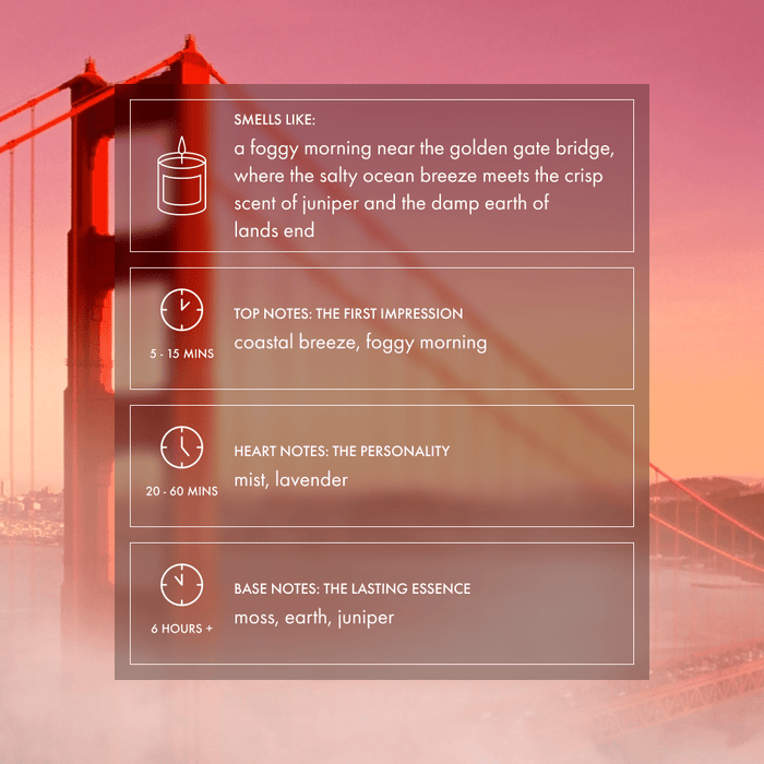 Karl The Fog Candle | Fog, fern & coastal air - Footnotes Paper