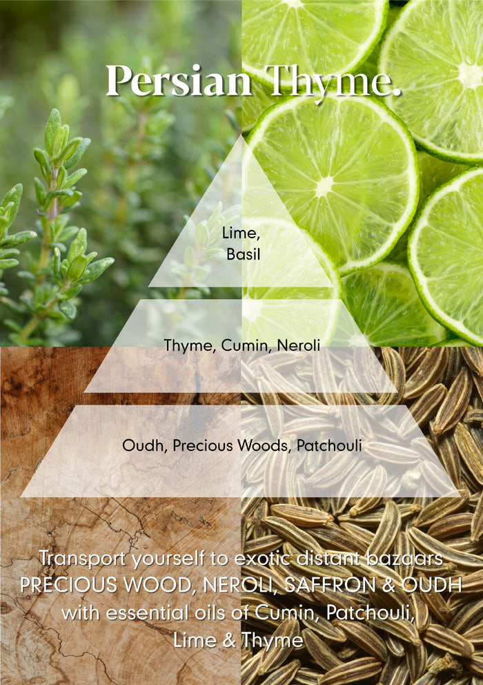 Persian Thyme Reed diffuser