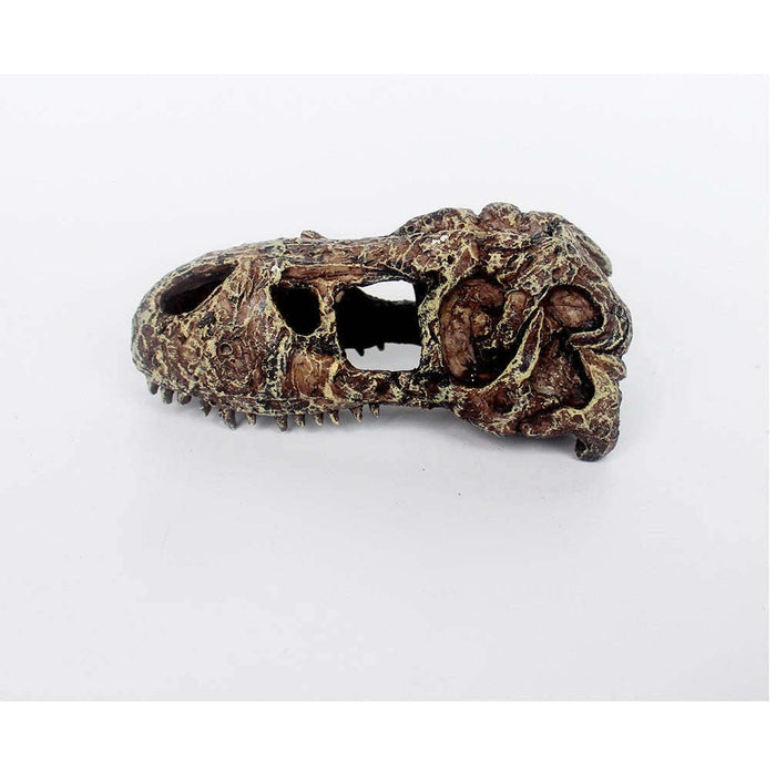 T-Rex Skull Decoration by Jungle Bob 5.5"x3"x2":Jungle Bob's Reptile World