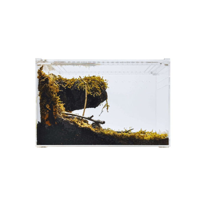 YKL28B HerpCult Acrylic Enclosure Large Clear Top 12"x8"x8" 3.3 Gallon:Jungle Bob's Reptile World