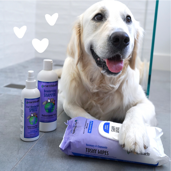 Dog with hearts using 3-in-1 Deodorizing Spray - Mediterranean Magic™