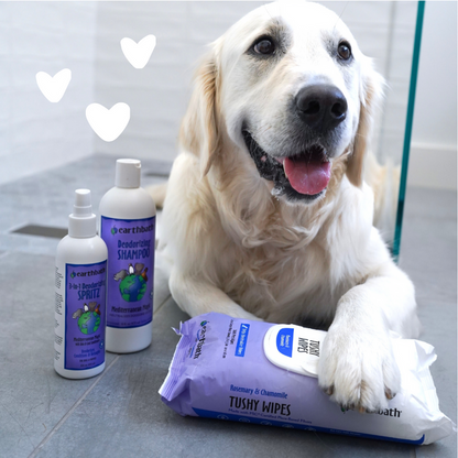 Dog with hearts using 3-in-1 Deodorizing Spray - Mediterranean Magic™