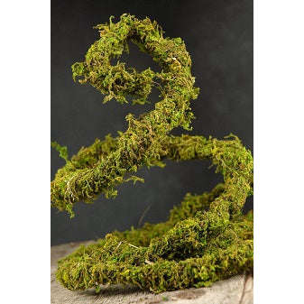 6' Flexible Mossy Vine Jungle Bob:Jungle Bob's Reptile World