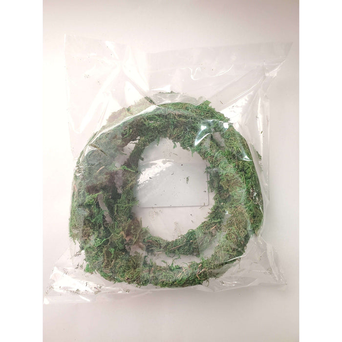 6' Flexible Mossy Vine Jungle Bob:Jungle Bob's Reptile World