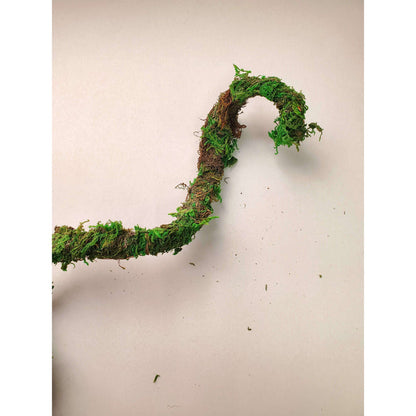 6' Flexible Mossy Vine Jungle Bob:Jungle Bob's Reptile World