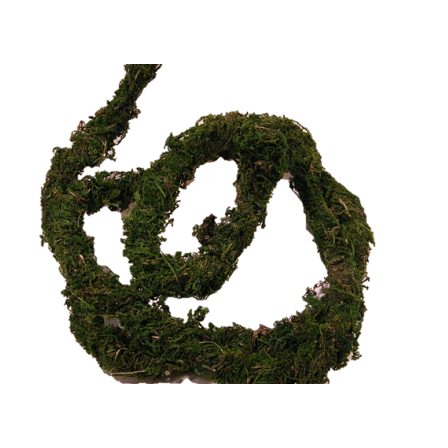 6' Flexible Mossy Vine Jungle Bob:Jungle Bob's Reptile World