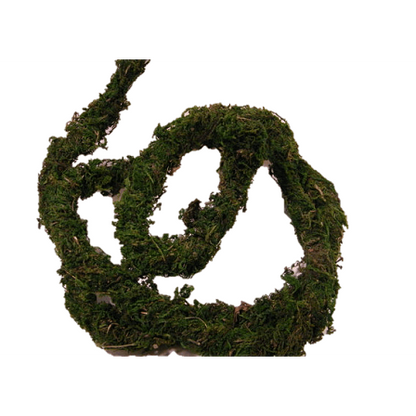 6' Flexible Mossy Vine Jungle Bob:Jungle Bob's Reptile World