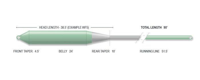 Airflo Superflo Streamer Float streamer fly line - detail view