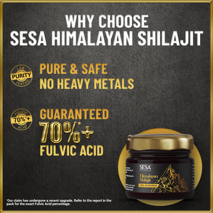 Ayurvedic Himalayan Shilajit Resin