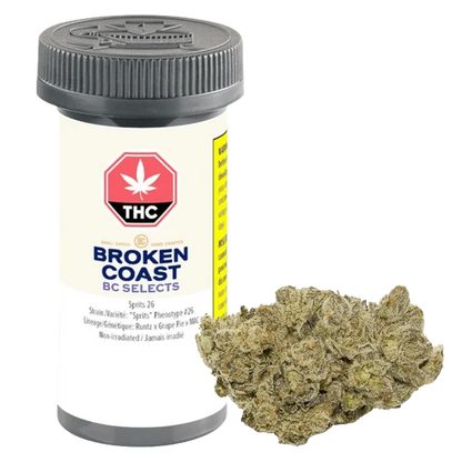 Front-facing image of a plastic jar and a single dense nug, labeled BC Selects: Sprits 26, against a plain light background