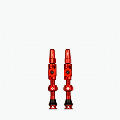 Medium (35mm) / Red