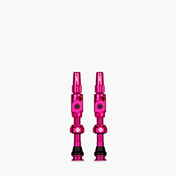 Medium (35mm) / Pink
