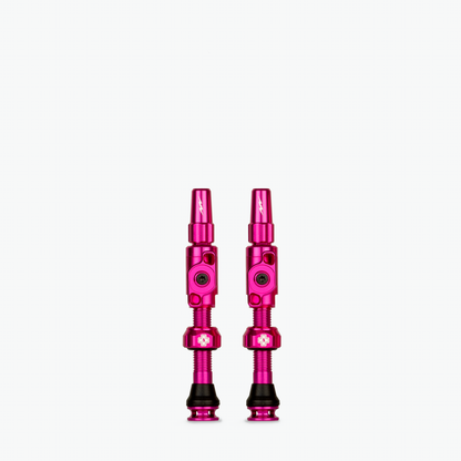 Medium (35mm) / Pink