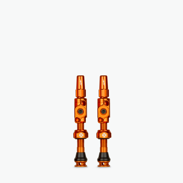 Medium (35mm) / Orange