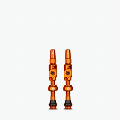 Medium (35mm) / Orange