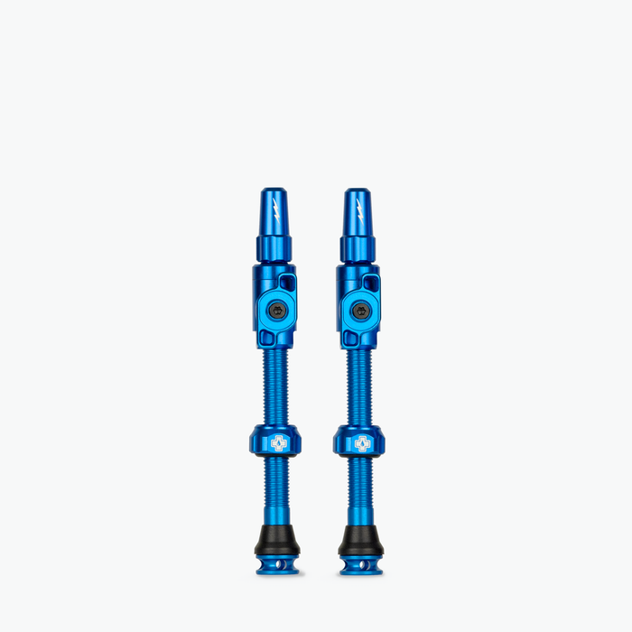 Large (45mm) / Blue