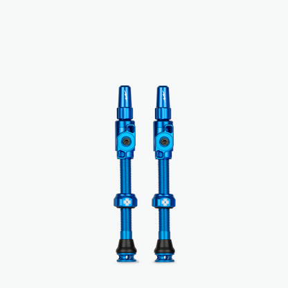 Large (45mm) / Blue
