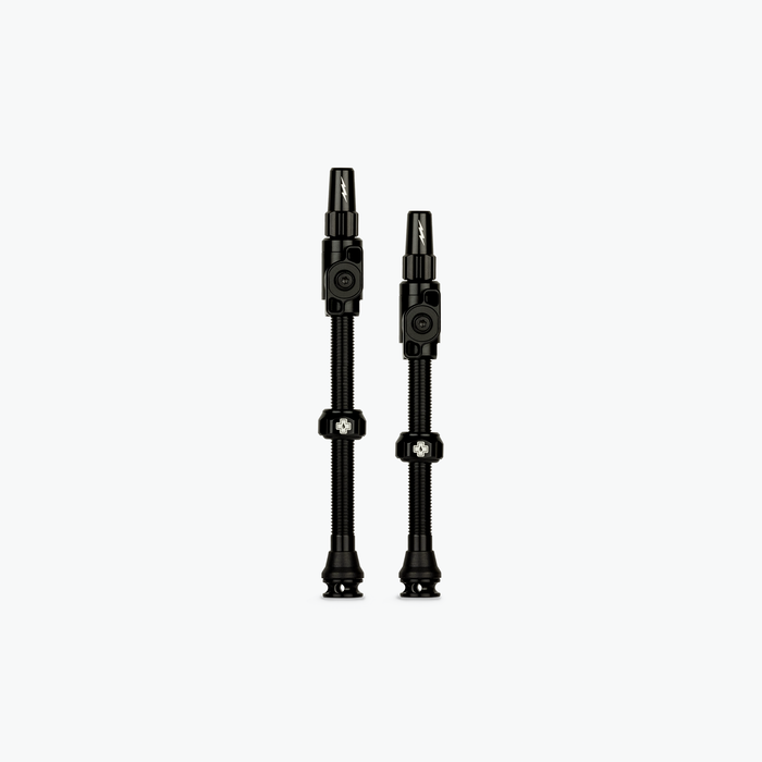 Bosch eBike (Large + XL) / Black