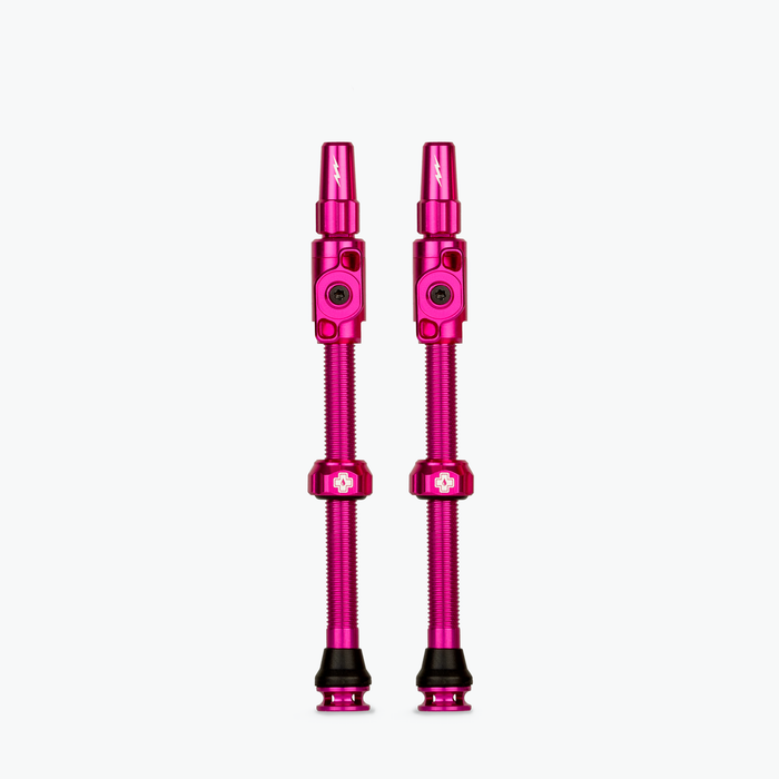 Big Bore Lite Tubeless Valves