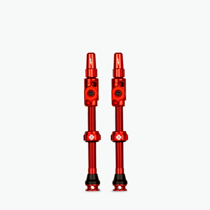 Big Bore Lite Tubeless Valves