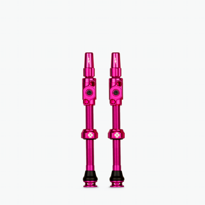 Big Bore Lite Tubeless Valves