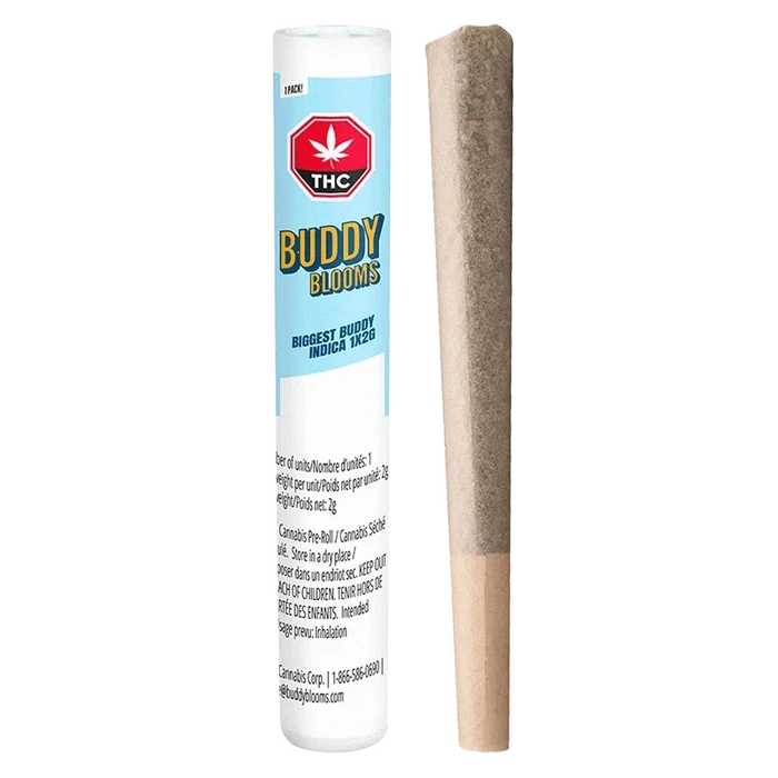 Right-side view of a rolled joint standing next to its upright light-blue tube packaging labeled "Biggest Buddy Indica PR 1 x 2 g" from Buddy Blooms.