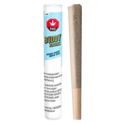 Right-side view of a rolled joint standing next to its upright light-blue tube packaging labeled "Biggest Buddy Indica PR 1 x 2 g" from Buddy Blooms.