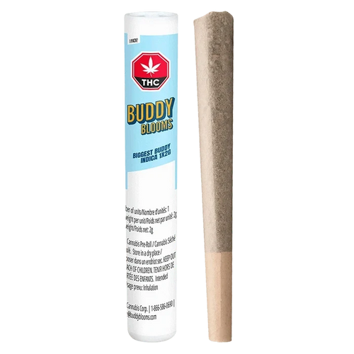 Right-side view of a rolled joint standing next to its upright light-blue tube packaging labeled "Biggest Buddy Indica PR 1 x 2 g" from Buddy Blooms.