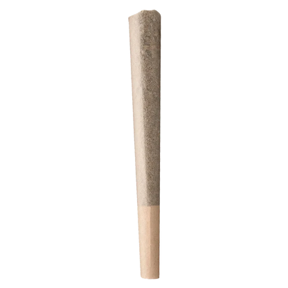 Straight-on view of a single pre-rolled joint with a brown crutch, labeled Biggest Buddy Indica PR 1 x 2 g, against a transparent background