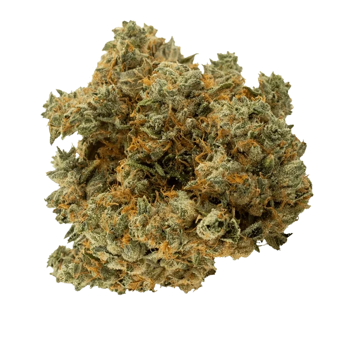Close-up top-down view of a dense, frosty bud of Black Triangle Kush showing green leaves and orange hairs.