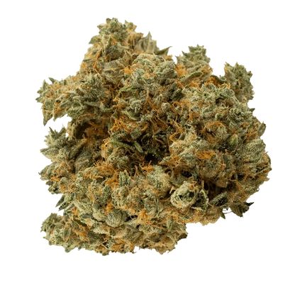 Close-up top-down view of a dense, frosty bud of Black Triangle Kush showing green leaves and orange hairs.