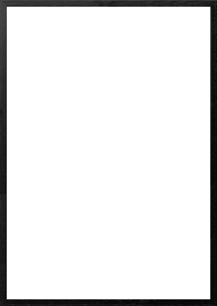 A2 (42x59,4 cm)