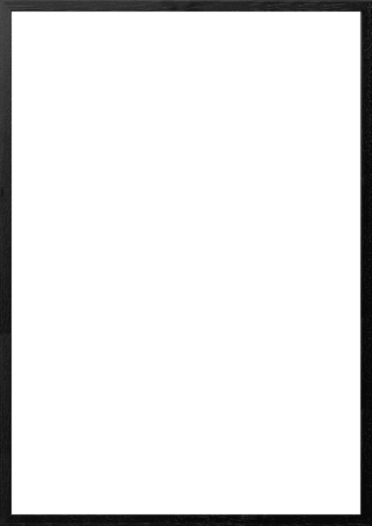 A2 (42x59,4 cm)