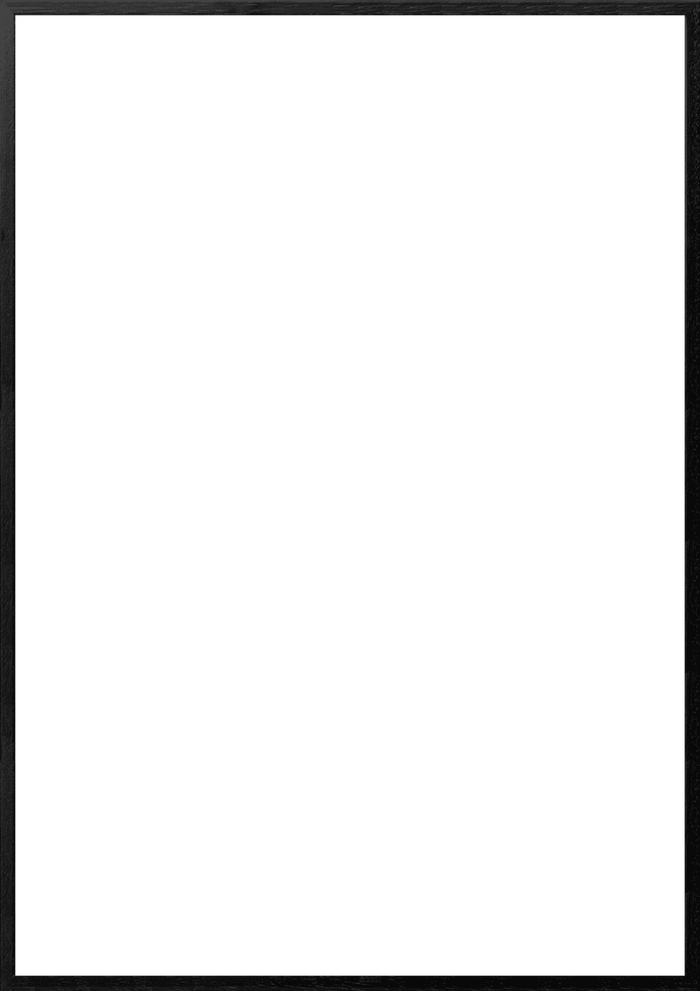 A1 (59,4x84,1 cm)