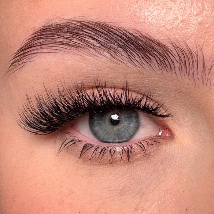 Blaise Faux Mink Unicorn Lashes - Unicorn Cosmetics