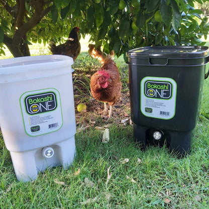 Two Bokashi One buckets on grass with a chicken in the background.