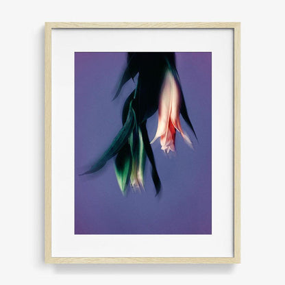 24 x 18 inches | Edition of 10 / Natural / Matted