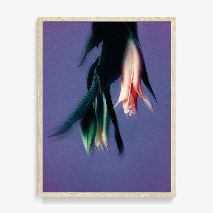 24 x 18 inches | Edition of 10 / Natural / Full Bleed
