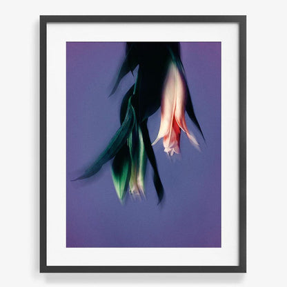 40 x 30 inches | Edition of 7 / Black / Matted