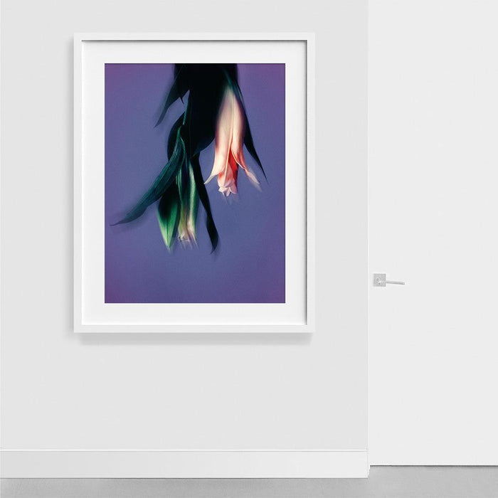 40 x 30 inches | Edition of 7 / White / Matted