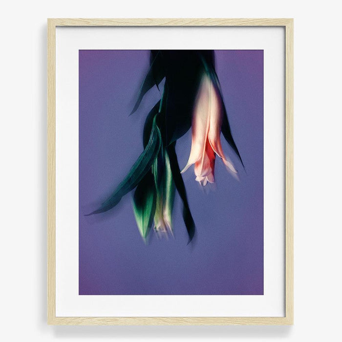 40 x 30 inches | Edition of 7 / Natural / Matted