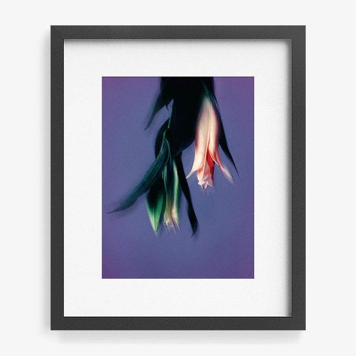 16 x 12 inches | Edition of 10 / Black / Matted