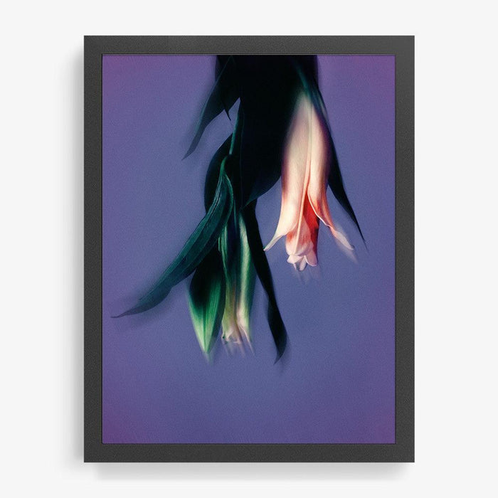 16 x 12 inches | Edition of 10 / Black / Full Bleed