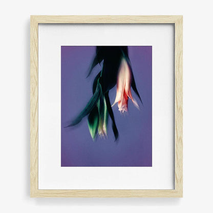 16 x 12 inches | Edition of 10 / Natural / Matted