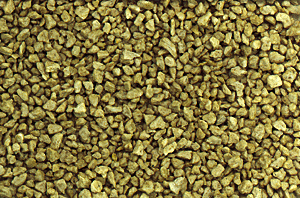 C1271 Talus Medium Buff