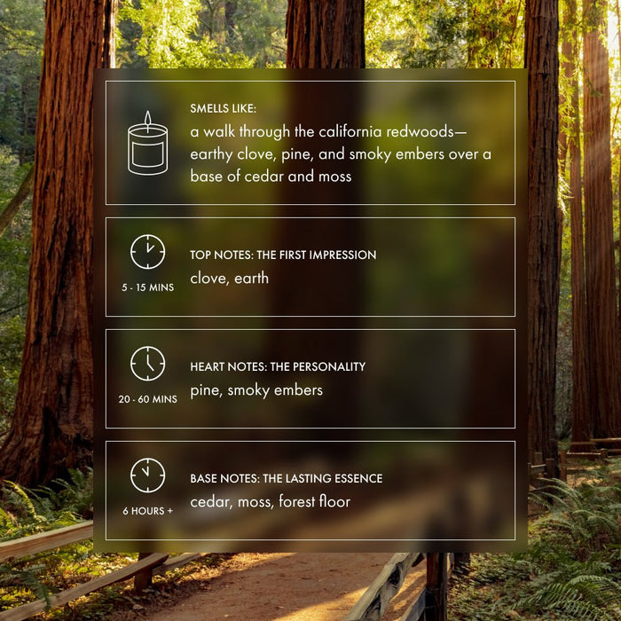 California Redwoods Candle | Pine, cedar, moss - Footnotes Paper