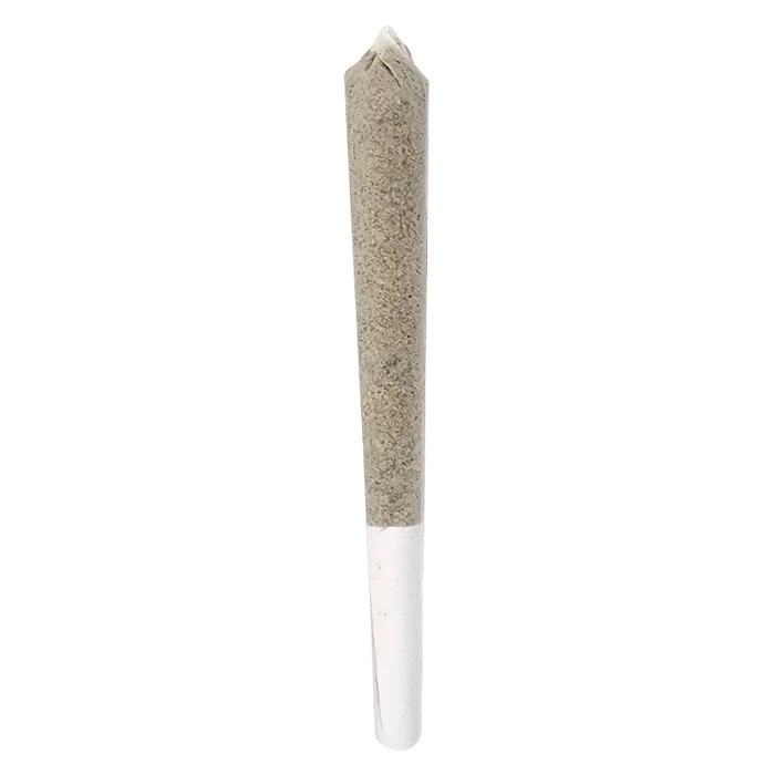 Centered vertical close-up of a rolled joint against a plain background featuring the Caps Junky Bubble Infused PR 1 x 1g.