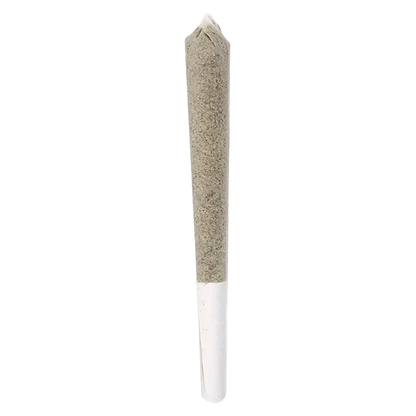 Centered vertical close-up of a rolled joint against a plain background featuring the Caps Junky Bubble Infused PR 1 x 1g.