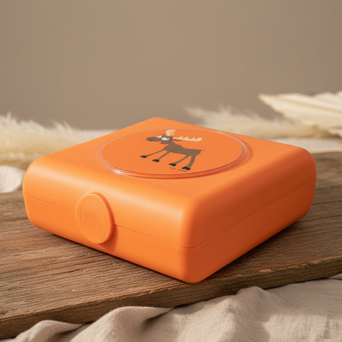 Brotdose Sandwichbox in orange fuer Kinder mit praktischem Verschluss, ideal fuer Pausenbrote und Snacks im Kindergarten, in der Schule und unterwegs