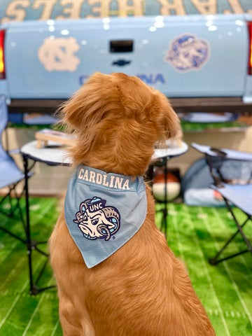 Carolina Reversible Jersey Style Dog Bandana - Detail View - Pets First